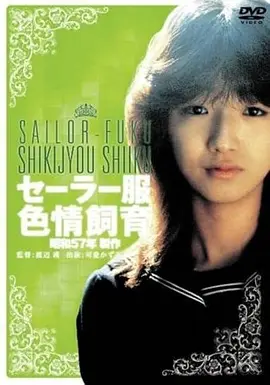 回声谷 文艺剧情片免费在线观看